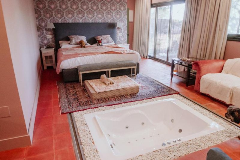 hoteles con encanto en castilla la mancha y perros