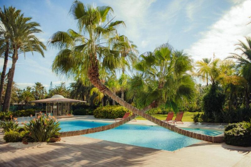 Palmeral de Elche